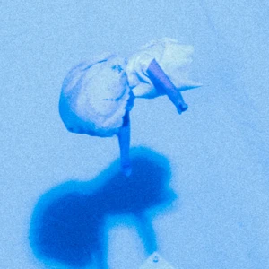 Stoplights By Dollpile